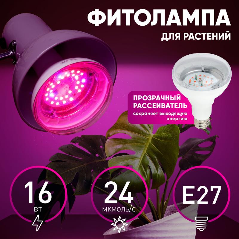 Фитолампа светодиодная для растений Эра 16 Вт E27 гриб красно-синий спектр розовый свет