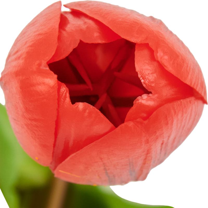 Тюльпаны искусственный Soft touch 1 шт цвет красный