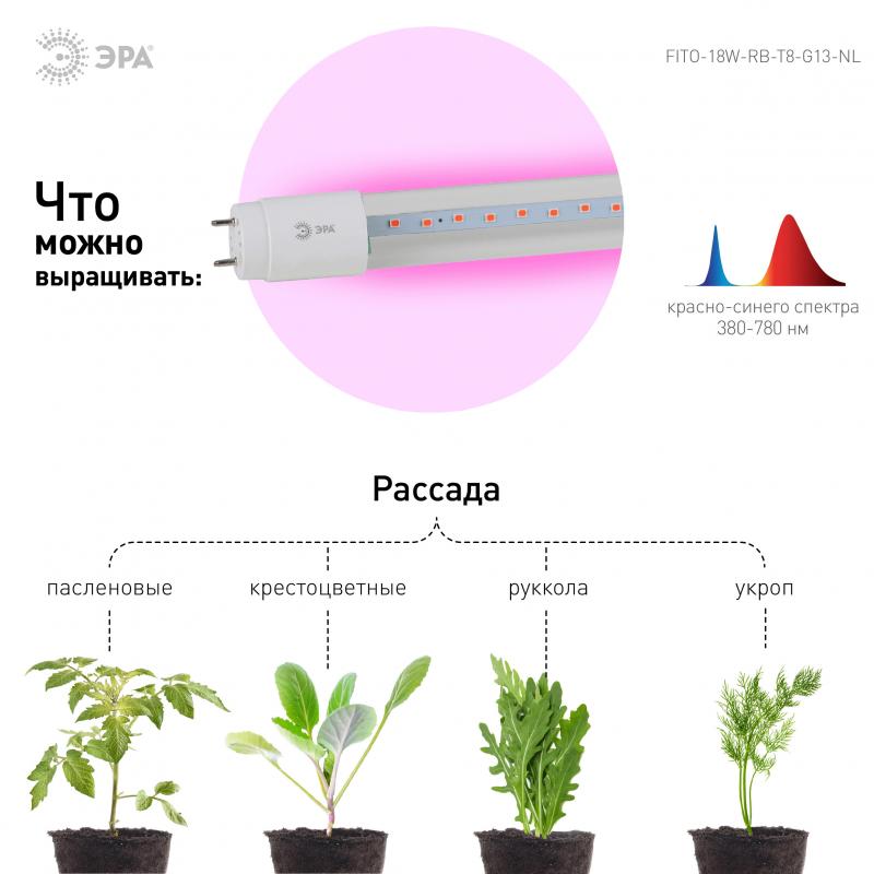Фитолампа светодиодная линейная для растений Эра Fito Т8 G13 18 В 220 Вт 640 Лм красно-синий спектр розовый свет