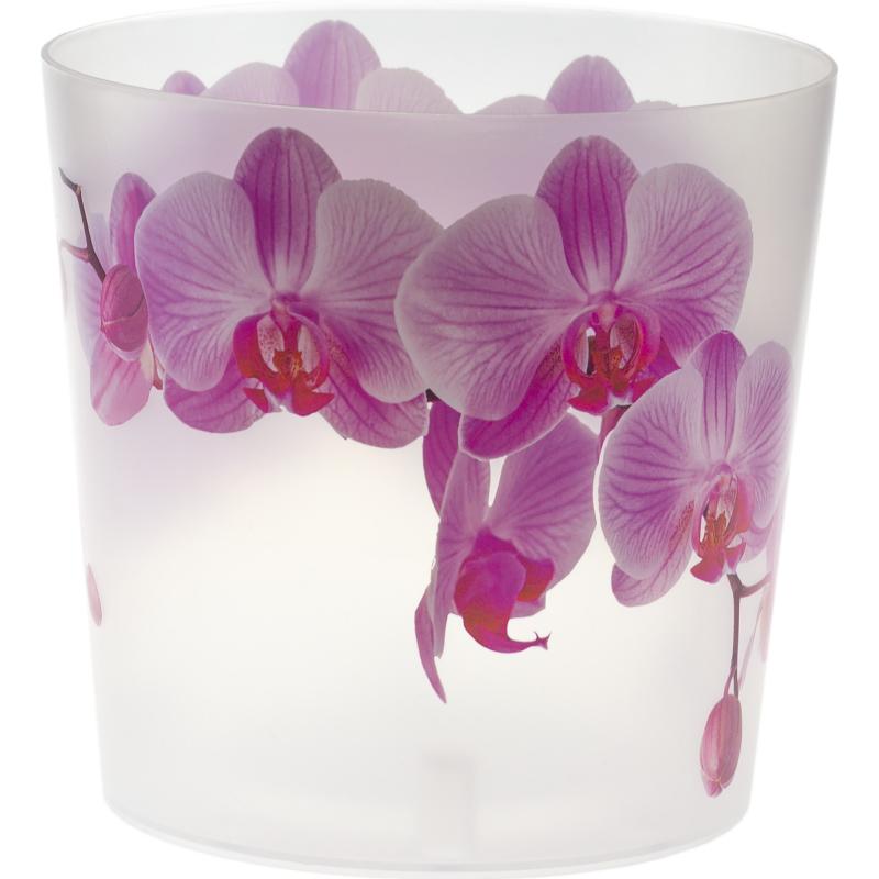 Кашпо орхидеяға арналған Idea Деко ø12.5 h12.5 см v1.2 л пластик ақ/қызғылт
