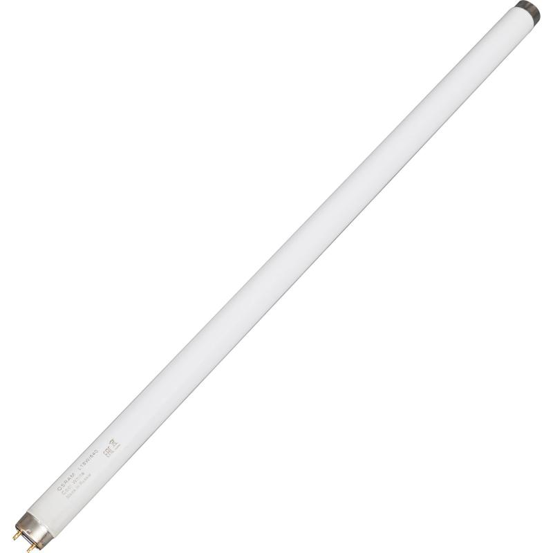 Лампа люминесцентная Osram T8 G13 18 Вт свет холодный белый 640