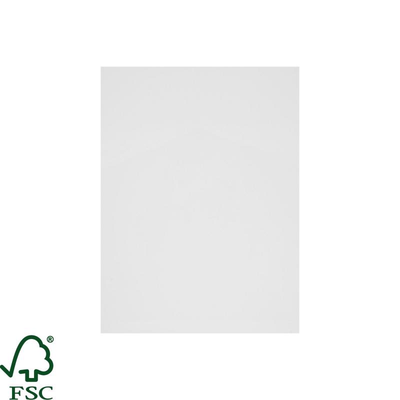 Фальшпанель для шкафа Delinia ID Аша 58x76.8 см ЛДСП цвет белый