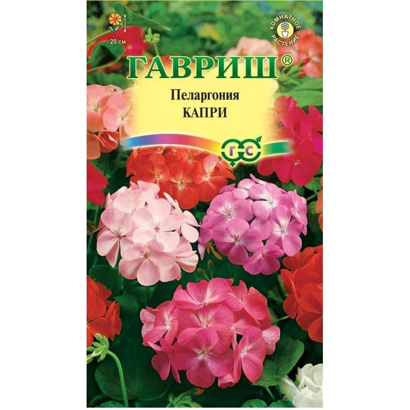 Тұқым Пеларгония бақшалық Капри F2