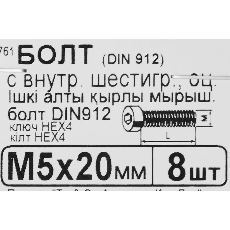 Болт с внутренним шестигранником DIN 912 M5х20 мм, 8 шт.