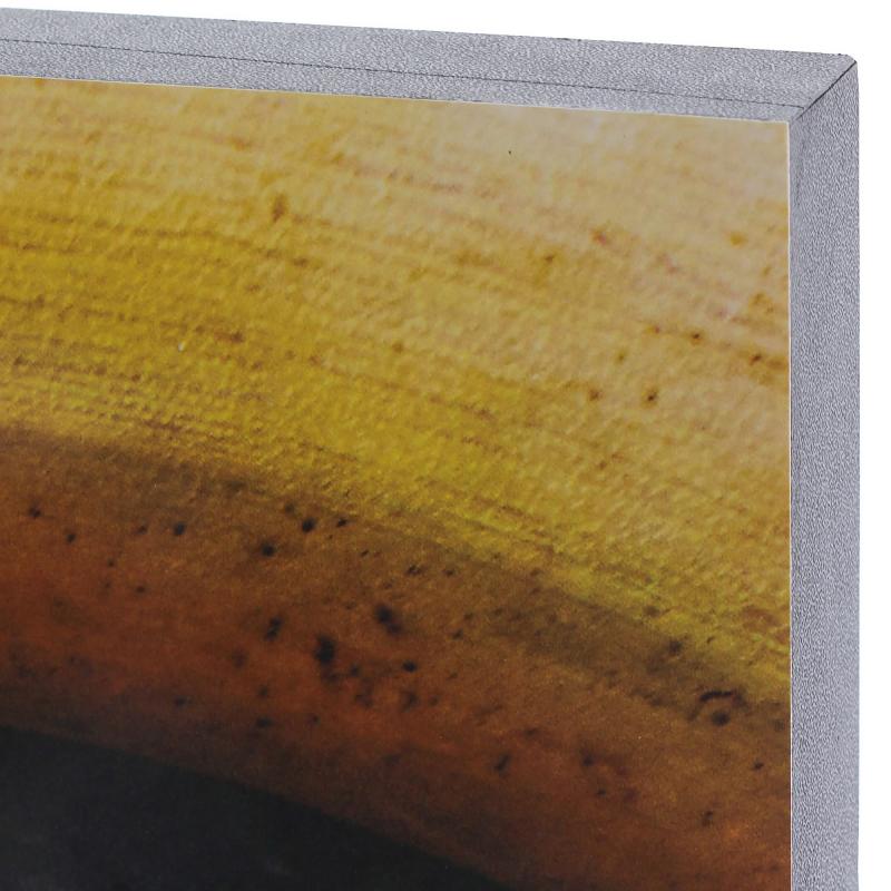 Картина без рамы 40х50 см «Citrus fruit»