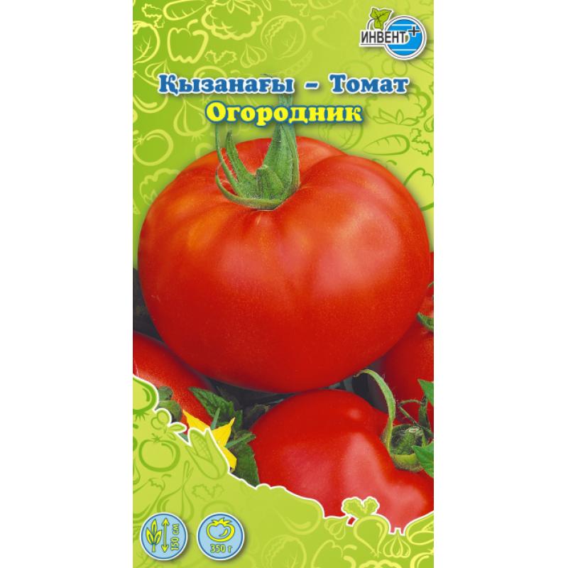 Огородник томаты 0,9 кг. Томат огородник 0,1гр/10. Купить семена томата огородник