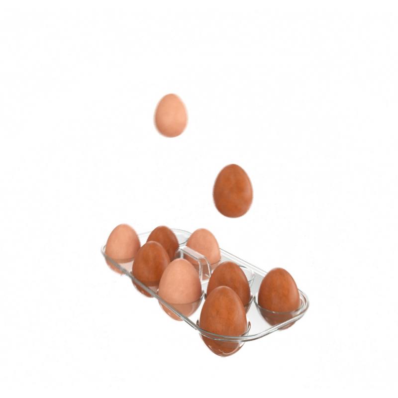 Емкость для яиц 1 отсек Delinia LM 13.8x5.7x29.72 см пластик цвет прозрачный