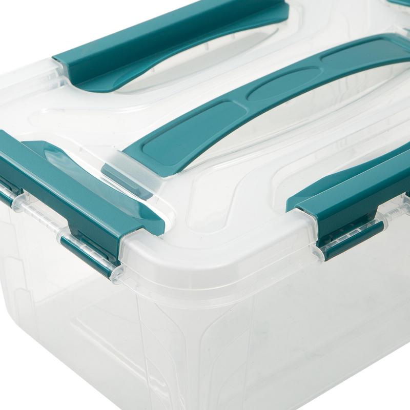 Ящик для хранения Grand Box 29x19x12.4 см 4.2 пластик с крышкой цвет прозрачный