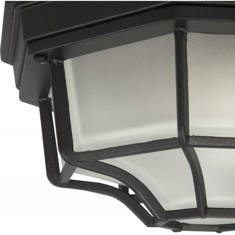 Светильник настенно-потолочный уличный Pegas 100 Вт IP65 цвет чёрный