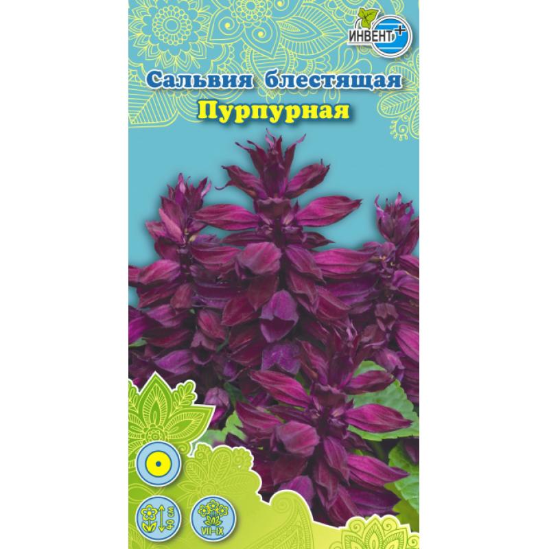 Семена цветов Инвент-плюс сальвия блестящая пурпурный