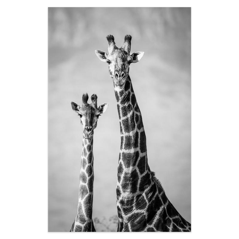 Картина кенепте "Жираф" 70x110 см