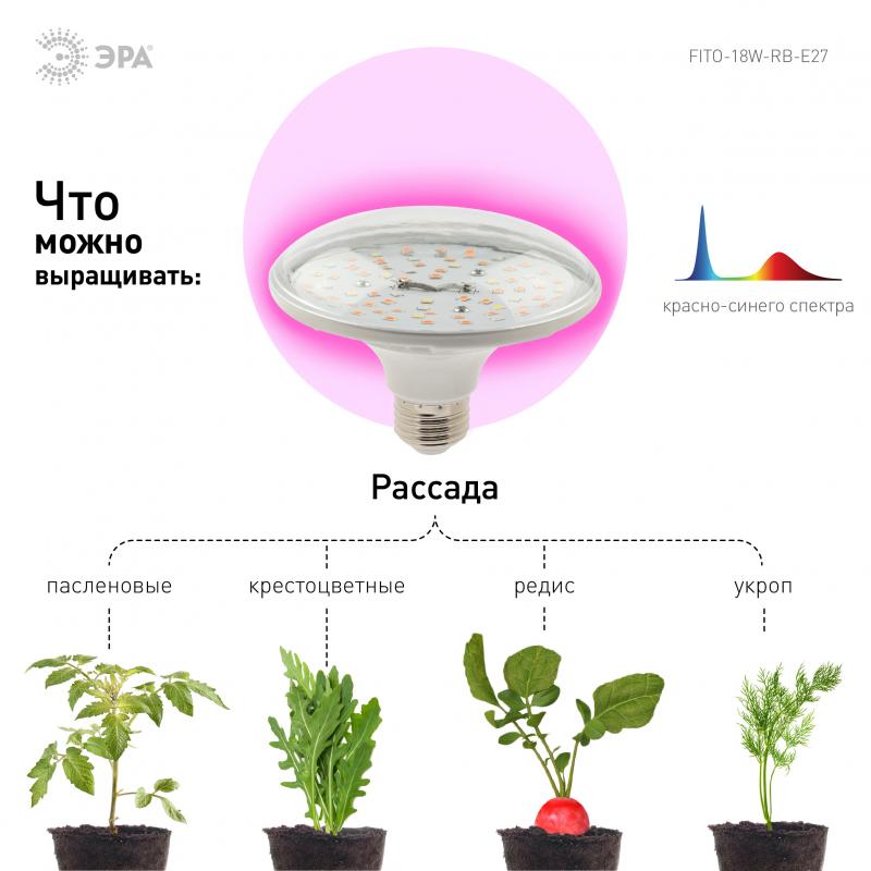 Фитошам жарықдиодты өсімдіктерге арналған Эра FITO 18 Вт RB E27 ақшыл-қызғылт жарық