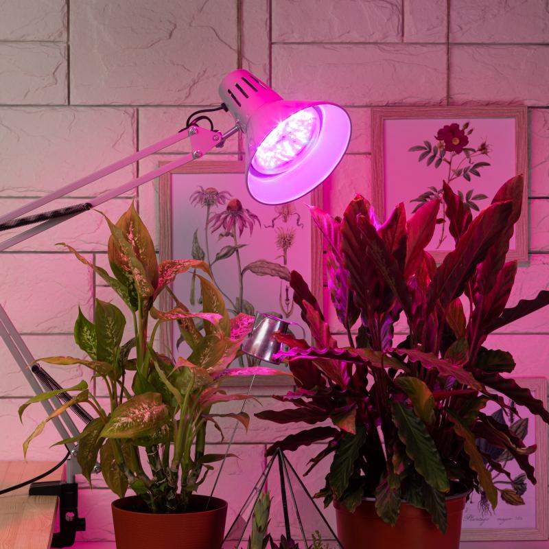 Фитолампа светодиодная для растений Эра fito 18 Вт RB E27 светло-розовый свет