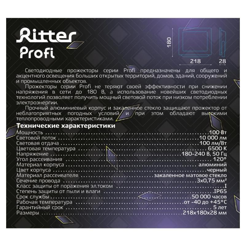 Прожектор жарықдиодты көшелік Ritter Profi 53410 9 100 Вт 10000 Лм 180-240В суық ақ жарық 6500К IP65 қара