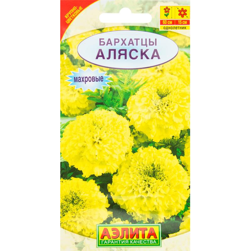 Бархатцы прямостоячие Аляска