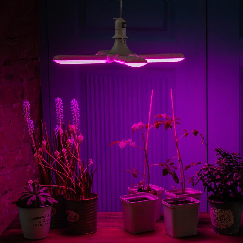 Фитолампа светодиодная для растений Uniel Е27 220 В 24 Вт клевер 3 лепестка красно-синий спектр розовый свет