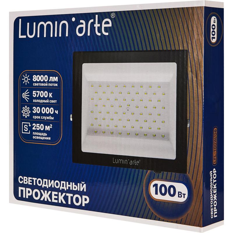 Прожектор светодиодный уличный Lumin Arte 100 Вт 5700К IP65 нейтральный белый свет