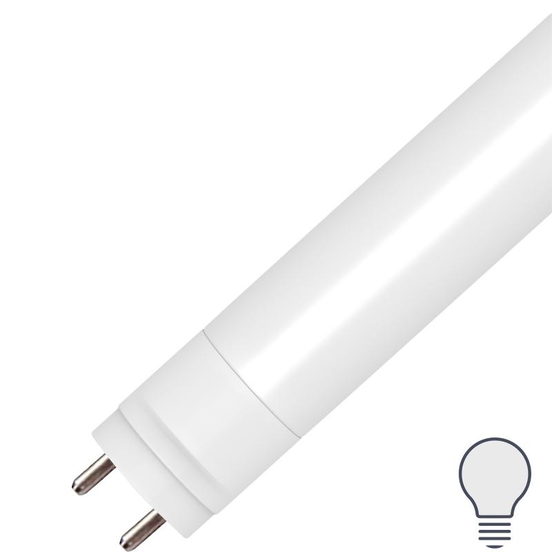 Лампа светодиодная Lexman T8 G13 В 11 Вт нейтральный белый свет
